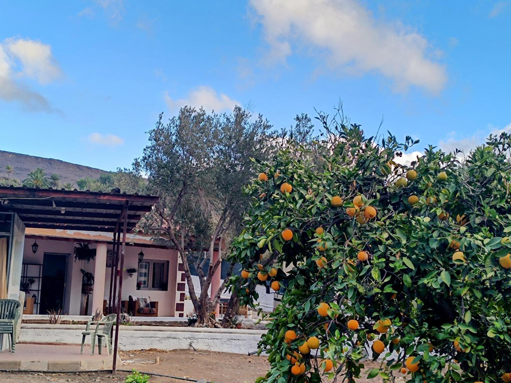 La Casa De La Pradera Bed and Breakfast Santa Lucia Εξωτερικό φωτογραφία