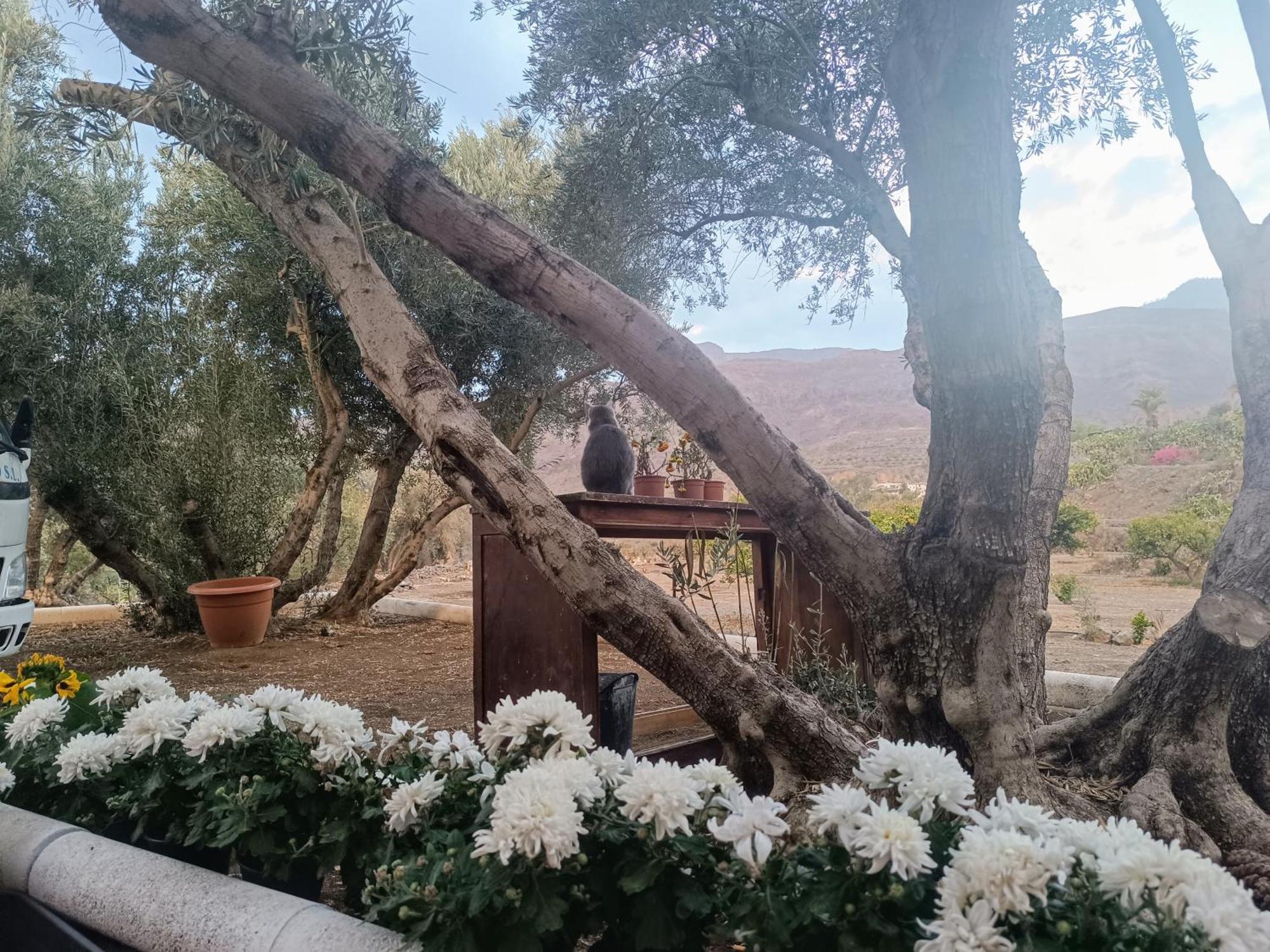 La Casa De La Pradera Bed and Breakfast Santa Lucia Εξωτερικό φωτογραφία